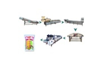 Automatic Food Pasteurizer for Soft Packaged Products1