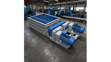 Double Roll Crusher