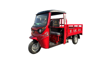 Practical tricycle with cockpit