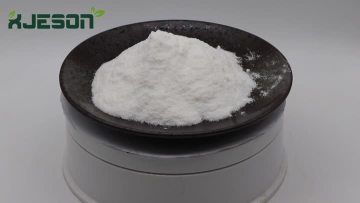 Coconut Oil Powder 