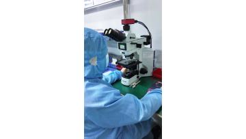 Microscope Precision Inspection