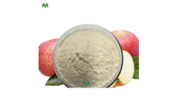 Food grade organic juice 99% apple fruit powder Natural instant powder apple fruit extract powder1
