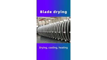 paddle dryer6