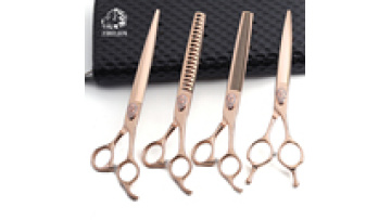 Professional 7.0 Inch 440C Stainless Steel Gold Dog Grooming Scissors Set1