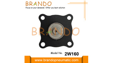 2W160-15, 2S160-15 Solenoid Valve Diaphragm