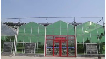 high quality Double layer plastic film greenhouse with good insulation ability for sale1