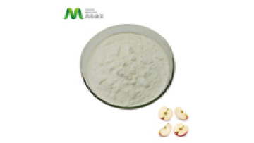 Bulk 5% 8% Apple Cider Vinegar Extract Powder Organic1