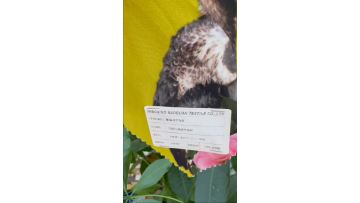 Flower Pattern Fabric
