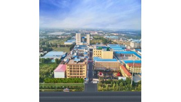 Shandong Bailong Chuangyuan Bio-tech Co.,Ltd (Stoc