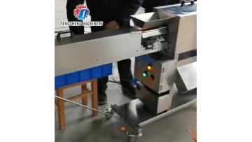 TS-P160 Commercial stainless steel carrot peeling machine