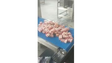 Fresh meat slicerslitter