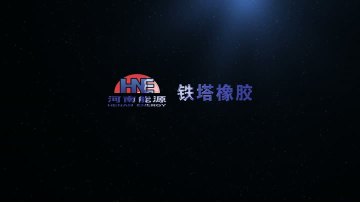 Company Introduction