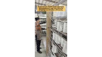 Video 8