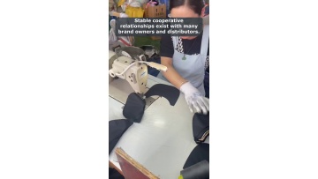 Video 52