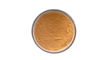 Organic Wolfberry Manufacturers for Direct Supply1