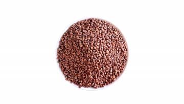 Radish seeds