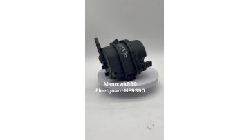 mann:WK939