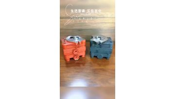 Nachi Fuji Hydraulic Pilot Gear Pump PVD-00B-14P-5G3