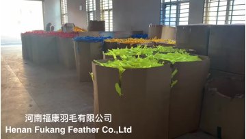Wholesale Colorful Archery  Ungrind Full Length Arrow Turkey Feathers For Hunting1