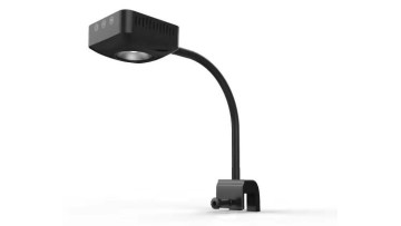 Coral led light Q3