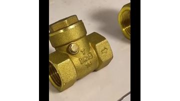 High Quality Adjustable Brass Pressure Reducer