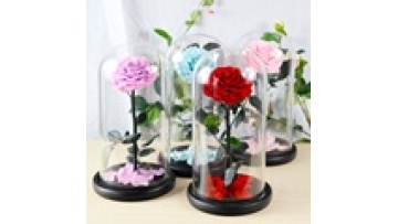 Yunnan Kunming Artificial Preserved Rose Gift for Mother's Day in Glass1