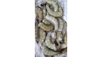 VANNAMEI SHRIMP