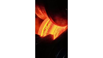 Superior Forged Steel Roller Ring Designed