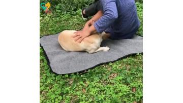 Good Quality Dog Mat
