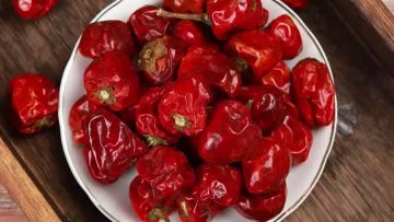 Lantern pepper Dried chilli 1