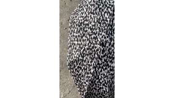 high quality umbrella.mp4