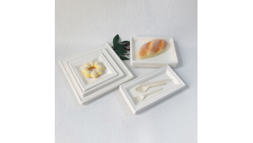 Square and rectangular plates