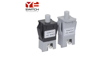 Plunger switch