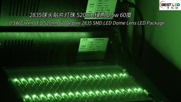 0.5W Green LED 520nm 60 Degree 2835Dome Lens LED