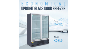 Upright Freezing Freezer