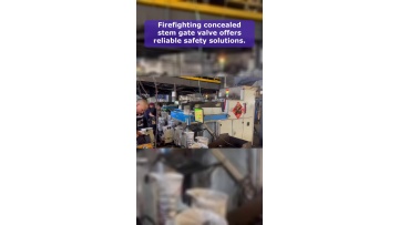 Video 18