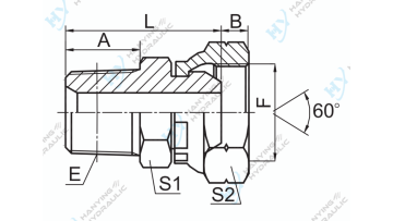 NPT Male BSP Female 60 Cone