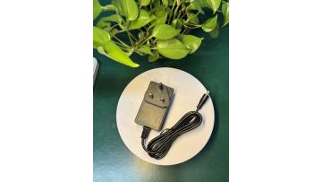 12V DC 5 Amperes Wall Plug Adapter