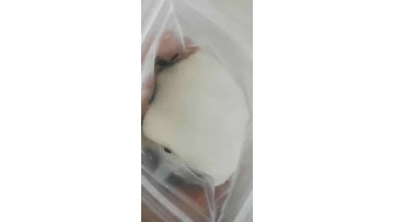 k3 for animal feed additive meal
