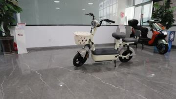 Simple Electric Bicycle