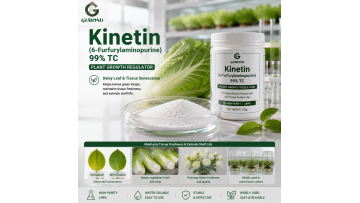 Kinetin 99% TC
