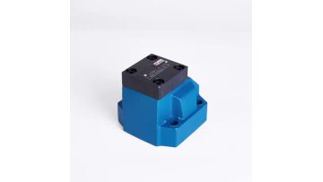 S20P check valve