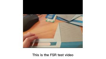 the FSR test software