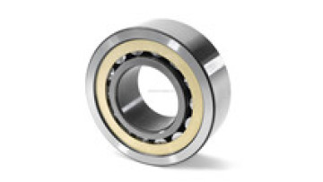 Cylindrical Roller Bearing 402736 - High Precision Chinese Brand1