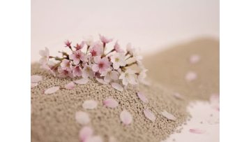 Cherry Blossom Scented Bentonite Cat Litter
