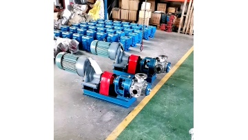 Polymerized material transfer pump Rotary pump NYP series high viscosity internal tooth pumps1