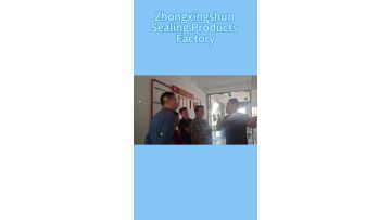 Southeast Asian customer on-site visits