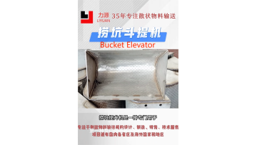 Pit Bucket Elevator