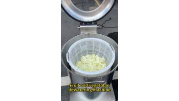 Fruit and vegetable dewatering machine Salad Dehydrator