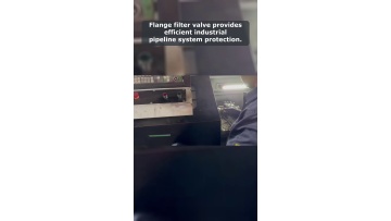Video 16